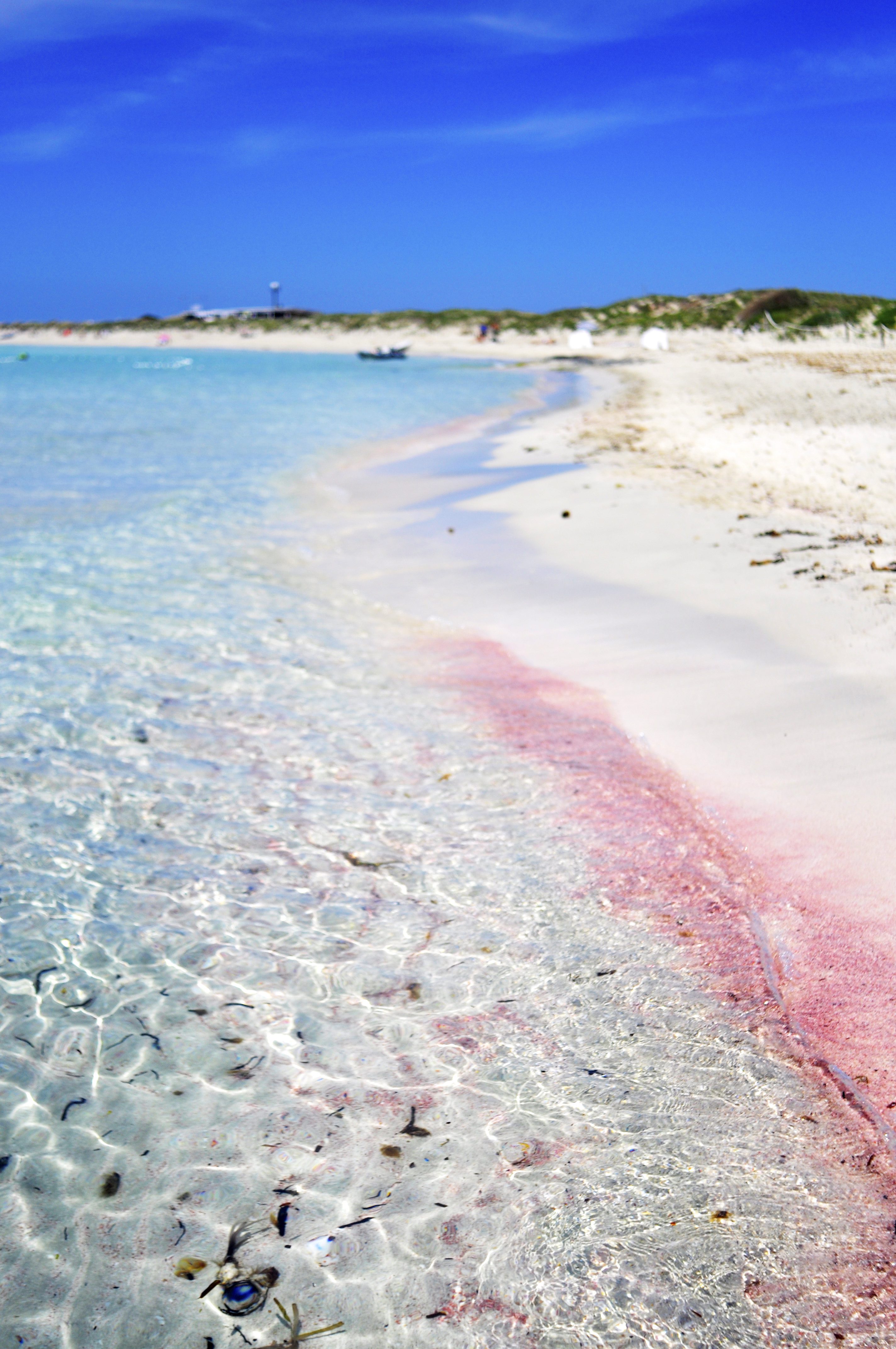 Pink Sand Beach, Formentera, Ibiza, Spain