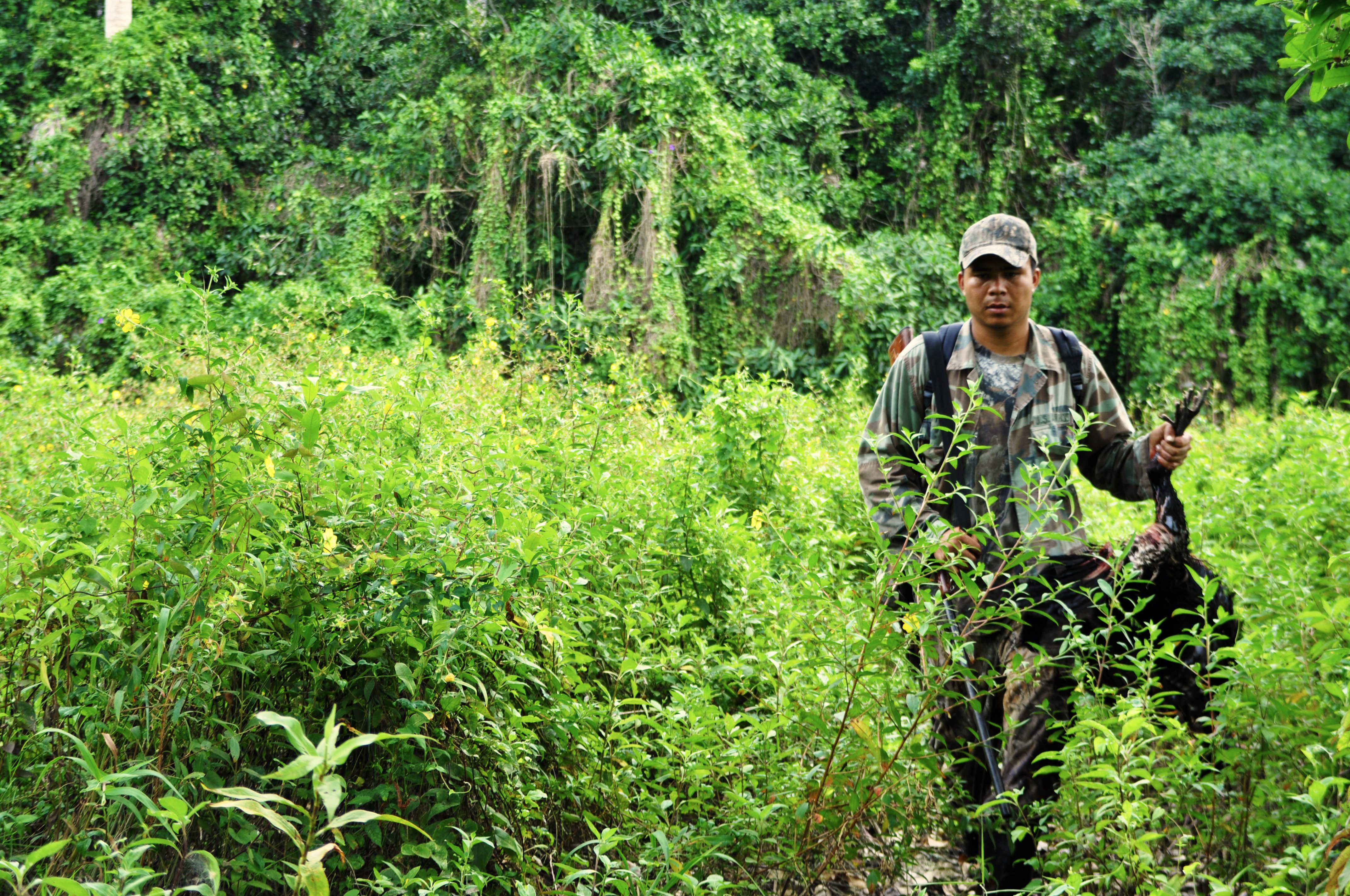 Pheasant hunting, Belize