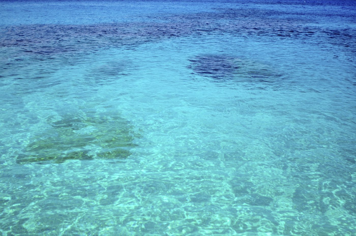 Shallows.
